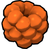 Yellow Clusterberry