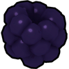 Black Clusterberry