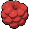 Red Clusterberry