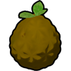Yellow Kingberry