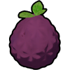 Purple Kingberry